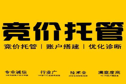 百度竞价效果监控与调整：案例分析及实战技巧
